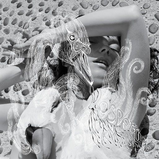 Bjork - Vespertine